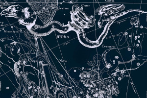 环保先锋！纽约2026世界杯，打造绿色可持续的足球典范！